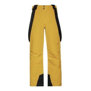 Pánské zimní lyžařské kalhoty protest owens žlutá l
