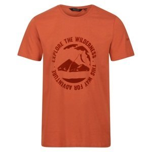 Pánské bavlněné tričko regatta cline vii oranžová l