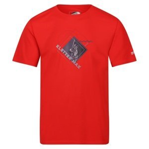 Pánské funkční tričko regatta fingal slogan ii červená l