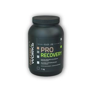 Nutri Works Pro Recovery 1000g - Čokoláda