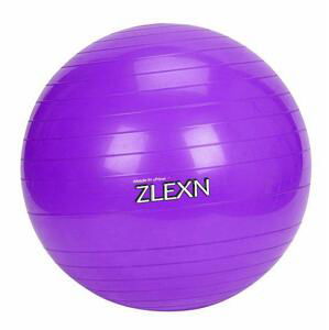 Sedco Gymnastický míč Yoga Ball 65 cm - Modrá