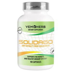 Vemoherb Solidago 90 kapslí