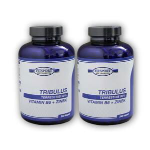 Fitsport 2x Tribulus Terrestris 90% + B6 +Zinek 240cps