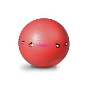 Sedco Gymnastický míč SHULAN YOGA BALL 65 cm - červená