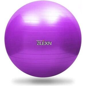 Sedco Gymnastický míč ZLEXN Yoga Ball 65 cm - fialová