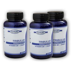 Fitsport 2x Tribulus 90% + B6 +Zinek 240cps+ 1x ZDARMA