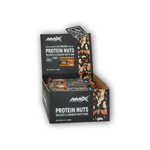 Amix 25x Protein Nuts Crunchy 40g MIX