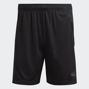 Adidas Tr-es LOGO SHO IB8122 - XL