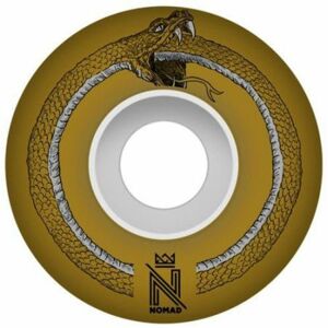 SK8 KOLA NOMAD Snake gold 101A  V7 - oranžová