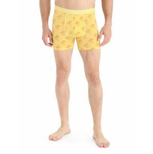 ICEBREAKER Mens Anatomica Boxers, Summer/Aop velikost: M