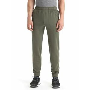 ICEBREAKER Mens Shifter Pants, Loden velikost: L