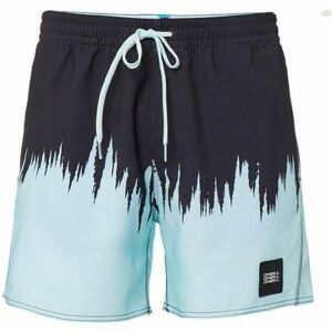 O'Neill PM DIP DYE SHORTS černá S - Pánské šortky do vody