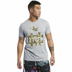 Reebok CBT CMG TEE šedá L - Pánské triko