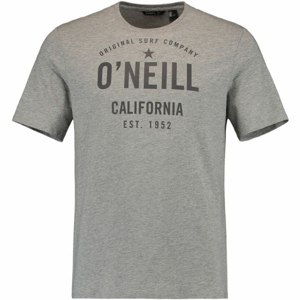 O'Neill LM OCOTILLO T-SHIRT Pánské tričko, šedá, velikost M