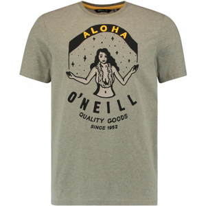 O'Neill LM WAIMEA T-SHIRT tmavě zelená XL - Pánské tričko