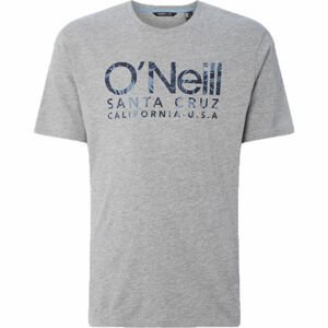 O'Neill LM ONEILL LOGO T-SHIRT Pánské tričko, šedá, velikost S
