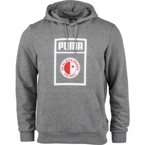 Puma SLAVIA PRAGUE GRAPHIC HOODY šedá XS - Pánská mikina