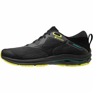 Mizuno WAVE RIDER GTX 2 Pánská běžecká obuv, černá, velikost 44