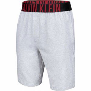 Calvin Klein SHORT Pánské kraťasy, , velikost S