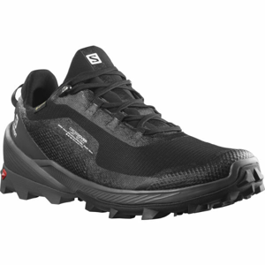 Salomon CROSS OVER GTX Pánská treková obuv, Černá, velikost 10