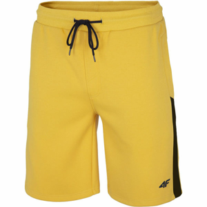 4F MEN´S SHORTS  L - Pánské kraťasy