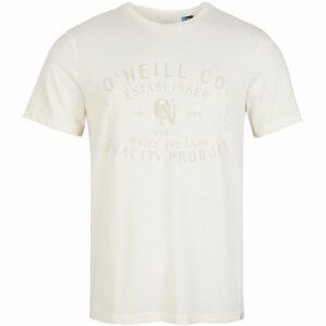 O'Neill LM ESTABLISHED T-SHIRT  XXL - Pánské tričko