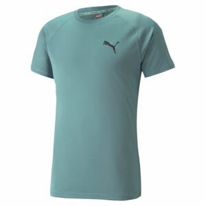 Puma RTG TEE Pánské sportovní triko, modrá, velikost XL