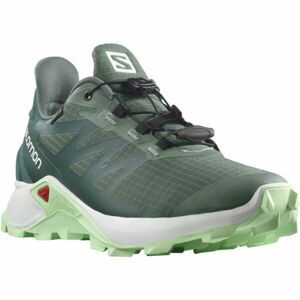 Salomon SUPERCROSS 3 GTX W Dámská trailová obuv, zelená, velikost 41 1/3