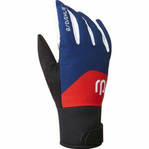 Daehlie GLOVE CLASSIC 2.0 JR Dětské rukavice, modrá, veľkosť L