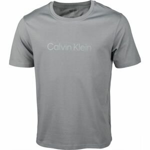Calvin Klein S/S T-SHIRTS Pánské tričko, šedá, veľkosť L
